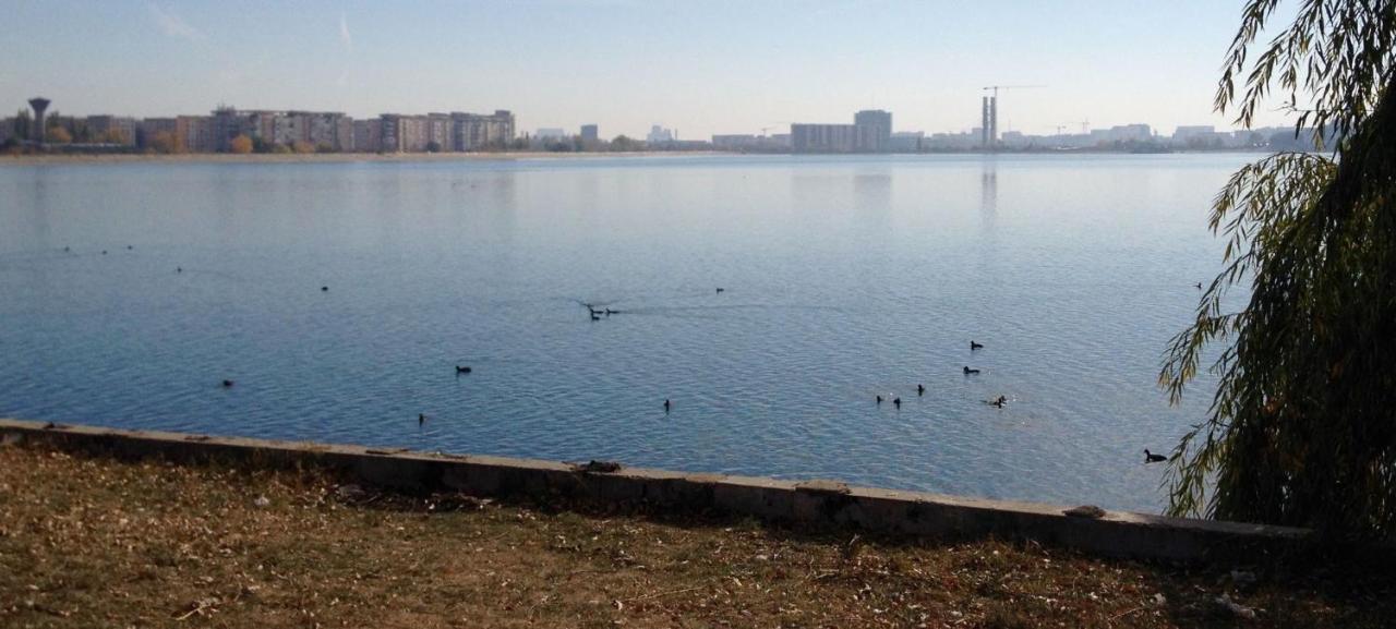 Fancy Penthouse Studio With Lakeview W10 Букурещ Екстериор снимка